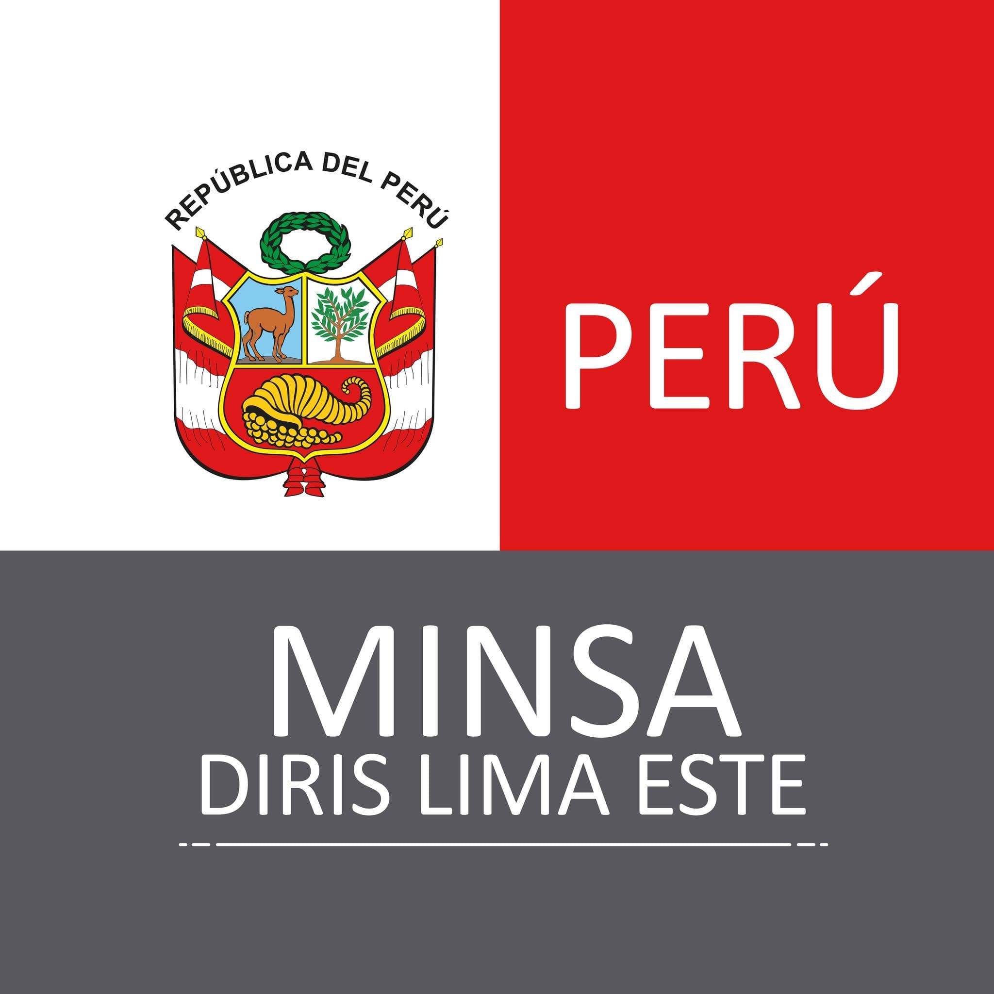 DIRIS Lima Este